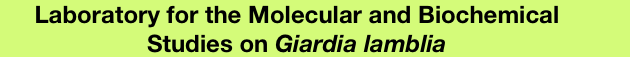 Laboratory for the Molecular and Biochemical Studies on Giardia lamblia